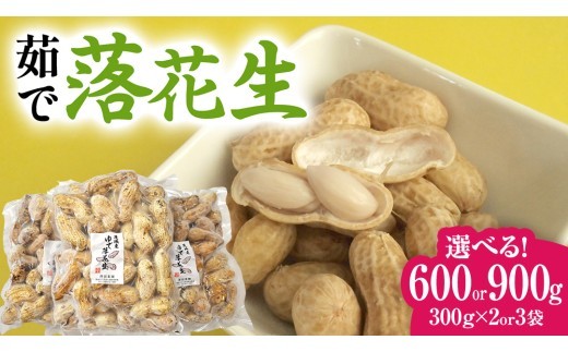 
                  【 選べる 袋数 】 牛久市産 茹で 落花生 1袋 300g入り《 2袋 or 3袋 》 茹で落花生 ゆで落花生 ピーナッツ ナッツ 詰合せ 豆 無塩 塩分不使用 おつまみ おやつ お菓子 素焼き マメ まめ 料理 お茶漬け 国産 小分け お取り寄せ グルメ 茨城県
                