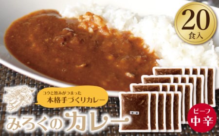 W27-05 みろくのカレー20食（中辛） 【JSM】 【fukuchi00】