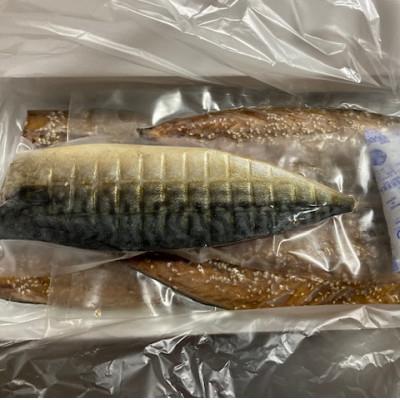 ふるさと納税 伊東市 【毎月定期便】 北欧さば醤油干し　天日干しひもの詰め合わせ(200g×5枚)全12回 |  | 02