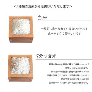 【選べる精米率】 新米 令和6年産 三重県産 コシヒカリ 10kg ( 5kg × 2袋 )[ 白米 玄米 5分つき米 7分つき米 ]　三重県津市 5分つき米 5kg･7分つき米 5kg