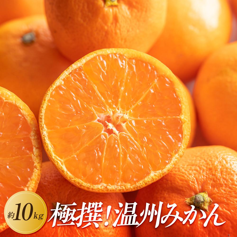 【ふるさと納税】【2025年11月上旬より順次発送】極撰！温州みかん　約10kg｜果物 くだもの フルーツ 柑橘 みかん 温州みかん 人気 おすすめ 先行予約 香川 高松 | フルーツ 果物 くだもの 食品 人気 おすすめ 送料無料