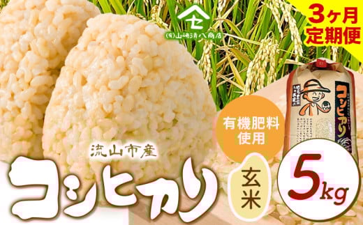 【毎月定期便3回】コシヒカリ 米 5kg《お申込み月の翌月から出荷開始》  有機肥料  玄米 st-p