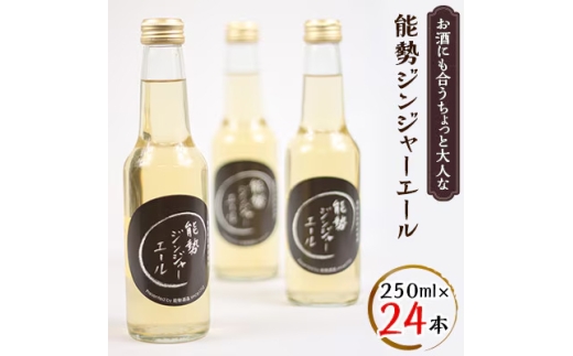 《お酒にも合うちょっと大人な》 能勢ジンジャーエール 250ml × 24本