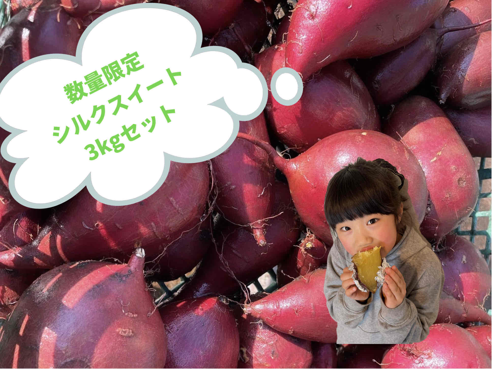 
            【 予約受付 2025年産 】 厳選 さつまいも シルクスイート 3kg 国産 サツマイモ さつま芋 秋 野菜 岩手県 北上市 齋藤 智仁 B0400 産地直送 ※令和7年9月下旬より発送開始予定
          