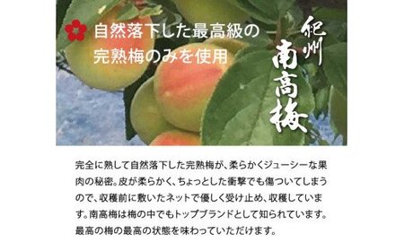 梅干し 梅干 うめ 梅 南高梅 / はちみつ梅干し500g　紀州南高梅うめぼし和歌山産(化粧箱入)【kmtb261】