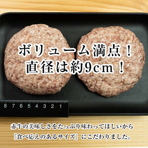  【6カ月定期】肥後の赤牛ハンバーグ（150g×10個） FKP9-543