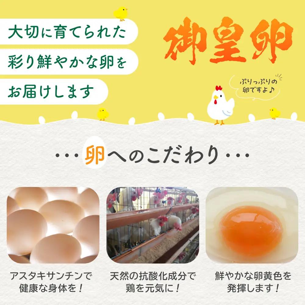 おおえだファーム アスタキサンチン卵（白）Lサイズ 60個入り 卵