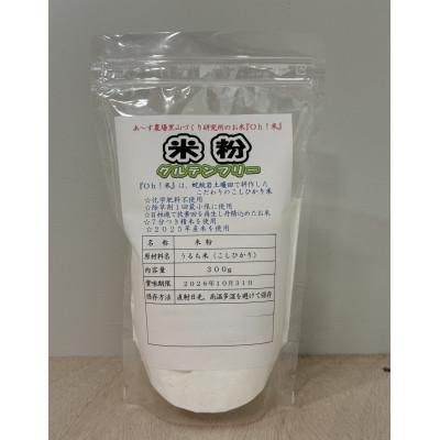 ふるさと納税 養父市 コシヒカリを使用した米粉　300g×2袋
