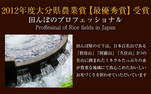 厳選国産米 2種セット 【 コシヒカリ × ひとめぼれ 】