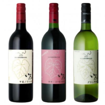 ふるさと納税 甲州市 まるき【いろシリーズ】計3本 いろ甲斐ノワール いろヤマ・ソービニオン いろグラン甲州 C-1666