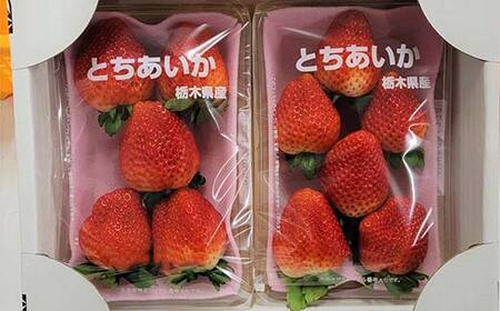 いちごの県フレッシュいちご 大ちゃん農園のいちご(とちあいか)290g×2パック いちご イチゴ 苺 デザート フルーツ 果物 くだもの 果実 食品 F7Z-1718