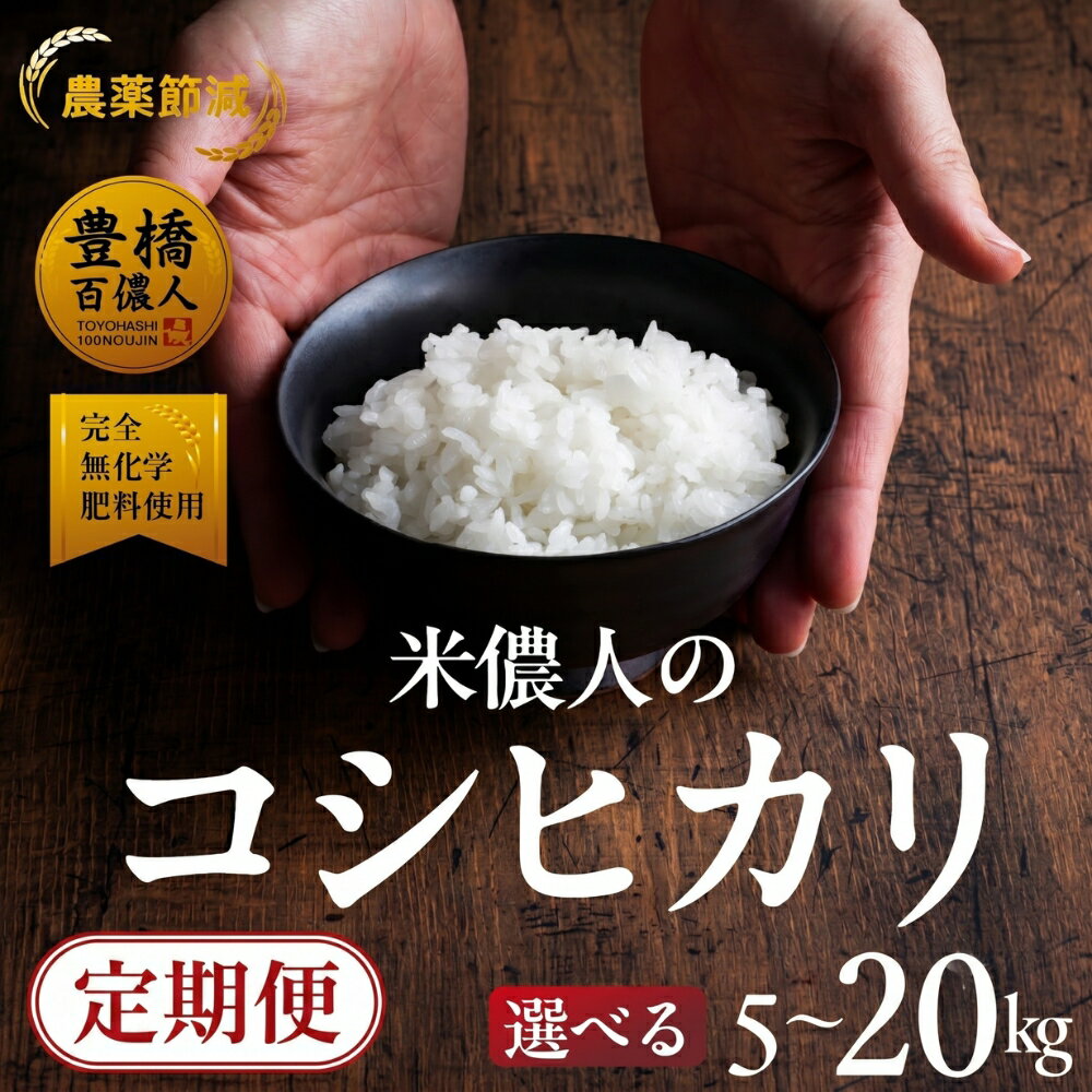 【ふるさと納税】≪定期便も選べる≫こしひかり 5kg 20kg 定期便 12ヶ月 6ヶ月 3ヶ月 コシヒカリ こしひかり お米 おこめ コメ 米 こめ kome 5キロ 10キロ 20キロ 20kg 10kg ふるさと納税米 令和7年 高評価 高レビュー 3回 6回 12回 産地直送 送料無料 愛知県 豊橋市