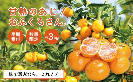 【早期受付・数量限定】農家直送!四万十みかん《おふくろさん》3kg 家庭用 予約 先行 先行受付 早期 早期受付 数量限定 2025年配送 家庭用 甘い あまい 旬 温州 温州みかん みかん 蜜柑 ミカン オレンジ フルーツ 果物 くだもの ジューシー 柑橘 四万十市 四万十 しまんと 高知県 高知 南国 土佐 四国 産地直送 農家直送 【2025年11月中旬より順次配送】25-550