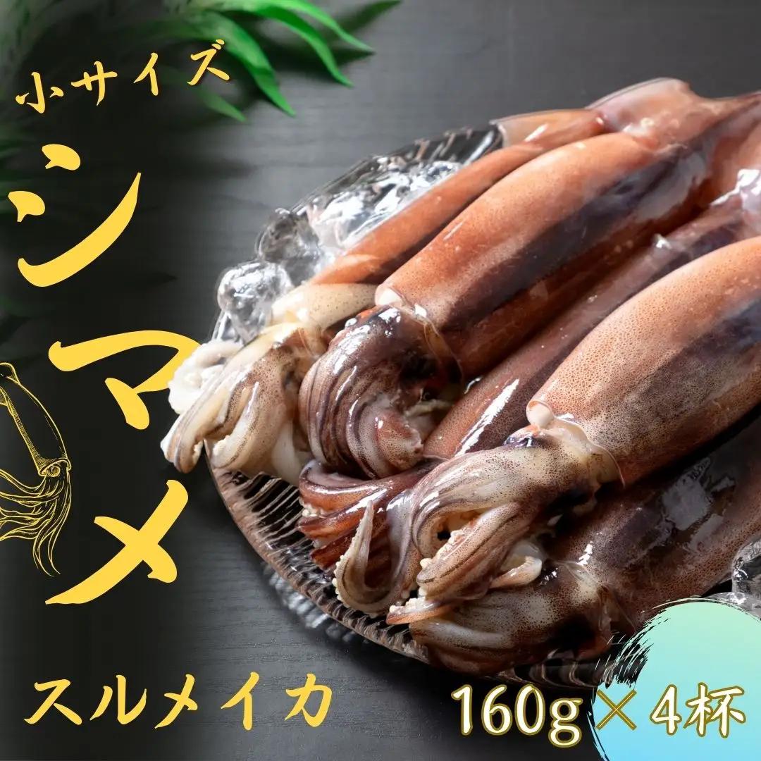 スルメイカ 160g×4杯 イカ