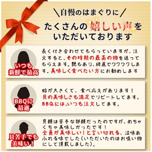 はまぐり 訳あり 大はまぐり 1.6kg はまぐり