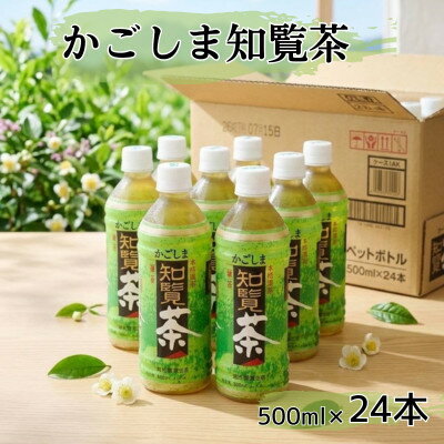 【ふるさと納税】【かごしま知覧茶】　500mlペットボトル×24本入り【1737642】