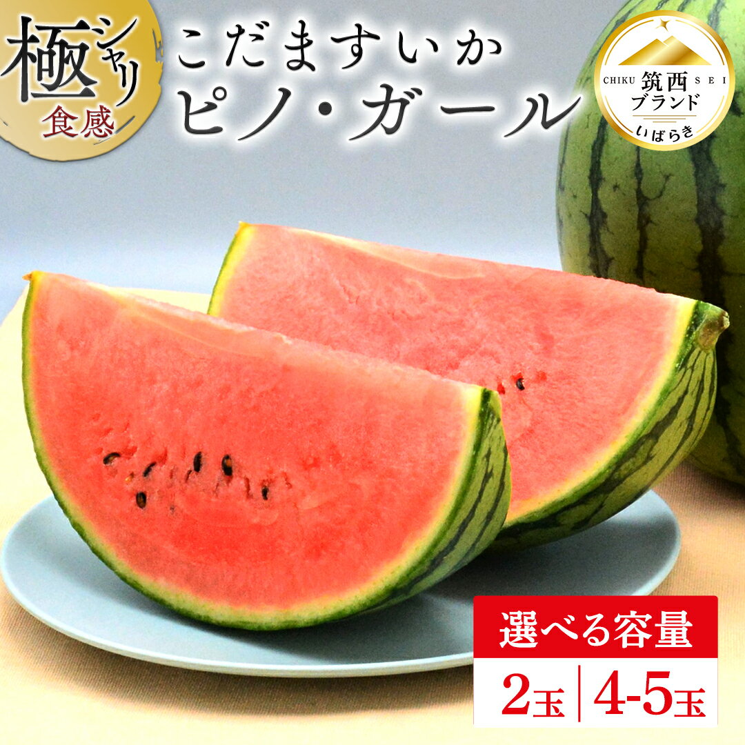 【ふるさと納税】【 JA北つくば 】 極シャリ食感 ！ こだますいか 「 ピノ・ガール 」 ( 選べる 内容量 2玉 or 4-5玉 ) 先行予約 小玉すいか 小玉 すいか スイカ 果物 フルーツ ピノガール 西瓜 くだもの デザート 茨城