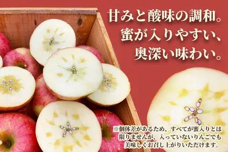完熟！りんご 葉とらずサンふじ 10kg [1088] | 青森 つがる