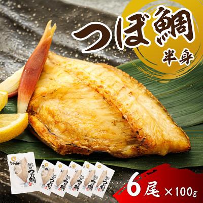 ふるさと納税 釧路町 厳選したツボダイを一夜干しにした 「つぼ鯛(半身100g)」6個セット