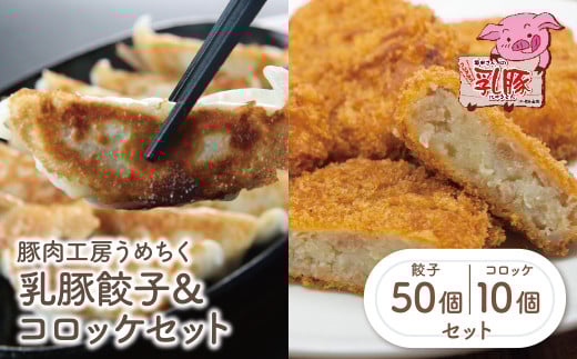 U04-11-01 国産ブランド豚使用！ 乳豚 餃子50個＆コロッケ10個セット 国産 豚メンチカツ 豚肉 人気 おすすめ ぶたにく 餃子 ぎょうざ ギョウザ ミンチ 惣菜 おかず 冷凍 ブランド豚
