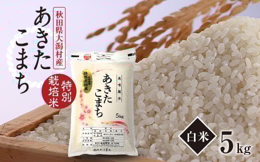 令和6年産　特別栽培米あきたこまち(白米)5kg【1514296】