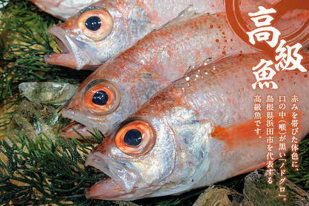 【本物の目利き厳選！】のどぐろ干物（計700ｇ・9尾セット） 【025_0432】