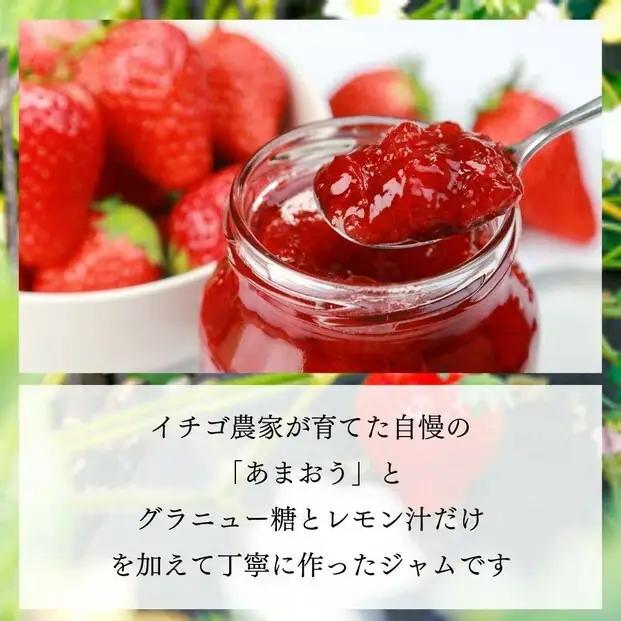 いちごジャム 無添加 あまおうとグラニュー糖のジャム 200g×3袋 手作り 国産 チューブ パウチ入り | 食品 加工食品 人気 おすすめ 送料無料