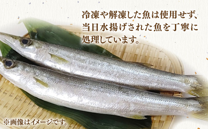 地魚 田舎干物セット 5種《壱岐市》【魚助】 干物 ひもの 海産物 朝食 海鮮 アジ あじ カマス イワシ アジの開き [JFX005]