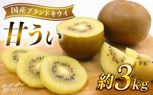 【2025年11月より順次発送】先行予約！ 極甘 福岡県 オリジナル品種 キウイフルーツ 甘うぃ 約3kg ＜一般社団法人地域商社ふるさぽ＞ フルーツ 甘い 産地直送 キウィ 果物 くだもの 福岡限定品種 希少 新品種 新ブランド 国産 全国1位 [GBX007]