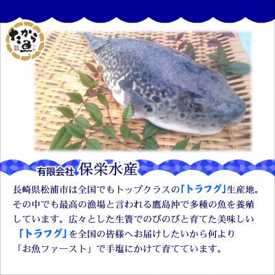 ふるさと納税 松浦市 鷹島のうまかトラフグ鍋セット |  | 02