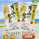 【ふるさと納税】 令和6年産【定期便】特別栽培米 ひとめぼれ 選べる容量（5kg・10kg）・発送回数（3・6・12回） 毎月1回中旬発送 | 山形県 鶴岡市 無洗米 玄米 白米 ブランド米 特産品 お取り寄せ お米 おこめ