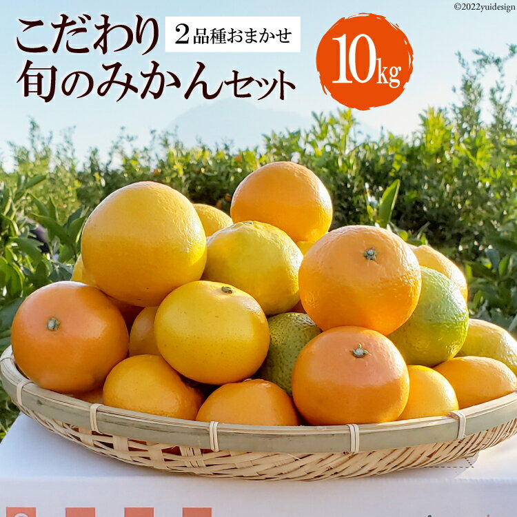 【ふるさと納税】 CC003 森崎果樹園のこだわり旬のみかんセット 10kg [みかん ミカン 旬 10キロ 長崎県 島原市]