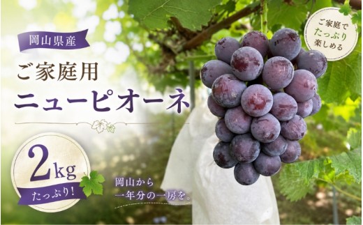 【2026年先行予約】岡山県産ご家庭用ニューピオーネ 2kg ｜ピオーネ 岡山ピオーネ ピオーネ ぴおーね ぶどう 葡萄 ブドウ 果物 フルーツ 種無し 産地直送 農家直送 岡山県 ピオーネ ぶどう 葡萄 フルーツ 果物 スイーツ ピオーネ デザート 冷蔵 岡山県産 真庭市 ギフト 贈答用 お中元 ぶどう 葡萄 先行予約 フルーツ 真庭市 【hrtn006-01】