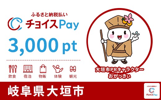 
            大垣市チョイスPay 3,000pt【会員限定のお礼の品】
          