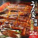 【ふるさと納税】三河一色 うなぎ蒲焼 2尾 合計320g以上 (肝焼き付き) 三河一色産 うなぎ 鰻 ウナギ 蒲焼 蒲焼き 肝焼き 肝焼 冷凍 国産 愛知県産 送料無料