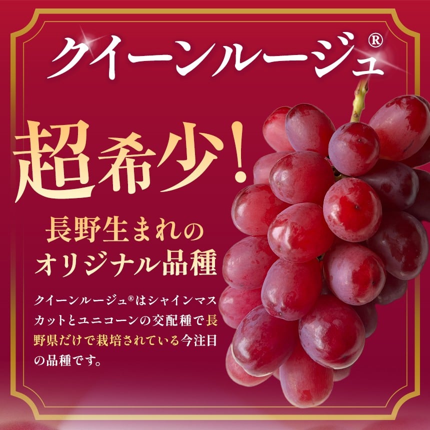 信州松本から旬の巨峰をお届けします。