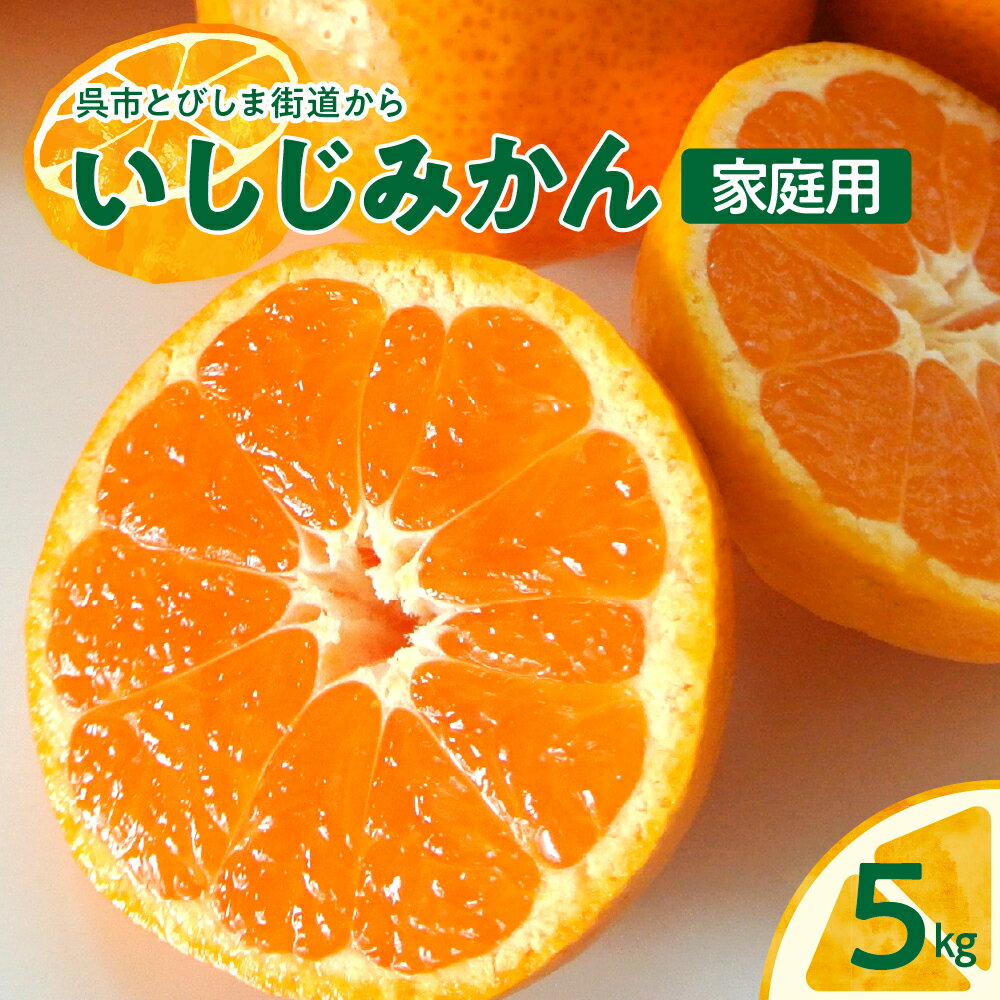 【ふるさと納税】先行予約 石地 みかん 家庭用 5kg【2025年12月～発送】ミカン いしじみかん ご自宅向け 蜜柑 フルーツ 果物 柑橘 国産 国内産 甘味 濃厚 さっぱり ジューシー 酸味 瀬戸内海 送料無料 産地直送 お取り寄せグルメ 先行受付 広島県 呉市