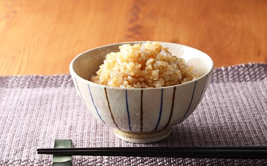 【令和8年度産早期予約】丹波産こしひかり《玄米》3kg×2