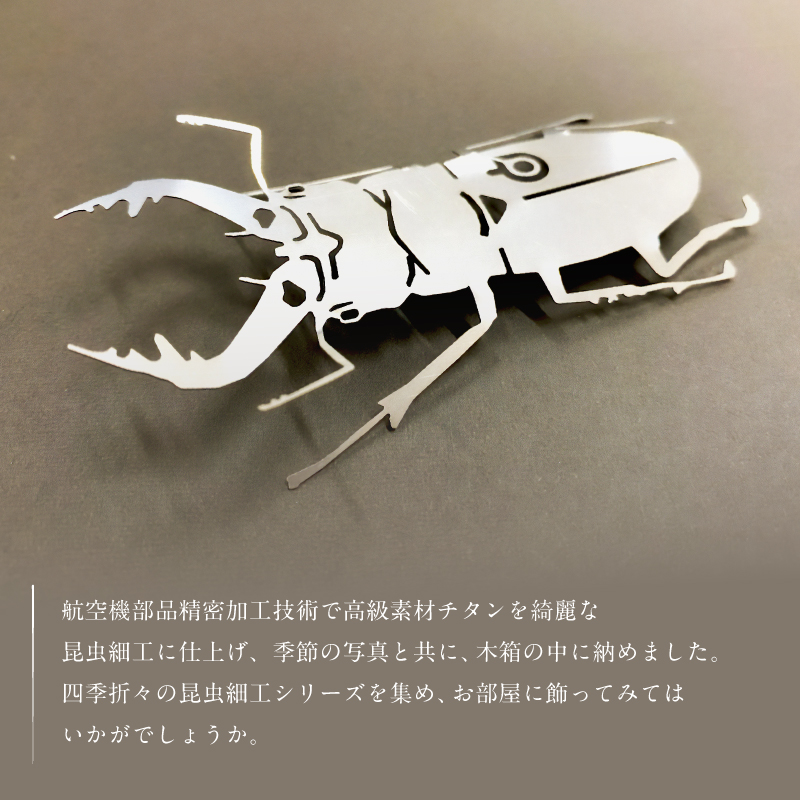 薄板チタン昆虫細工シリーズ（クワガタ）　【0067-012】_イメージ2