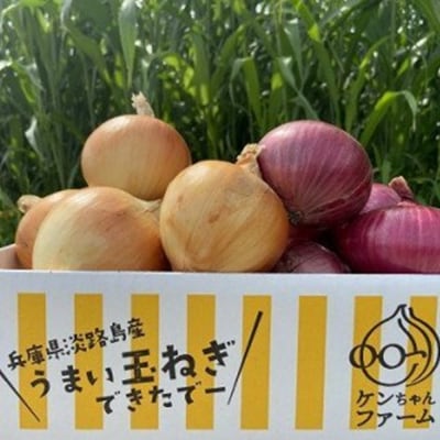 【ケンちゃんファーム】＼うまい玉ねぎできたでー/特別栽培・黄赤玉ねぎ食べ比べセット　3kg