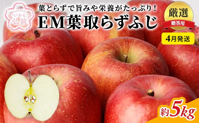 りんご 【 4月発送 】 贈答用 EM 葉取らず ふじ 約 5kg ( 有袋栽培 CA貯蔵 ) 【 弘前市産 青森りんご 】リンゴ 果物 青森 弘前 贈答