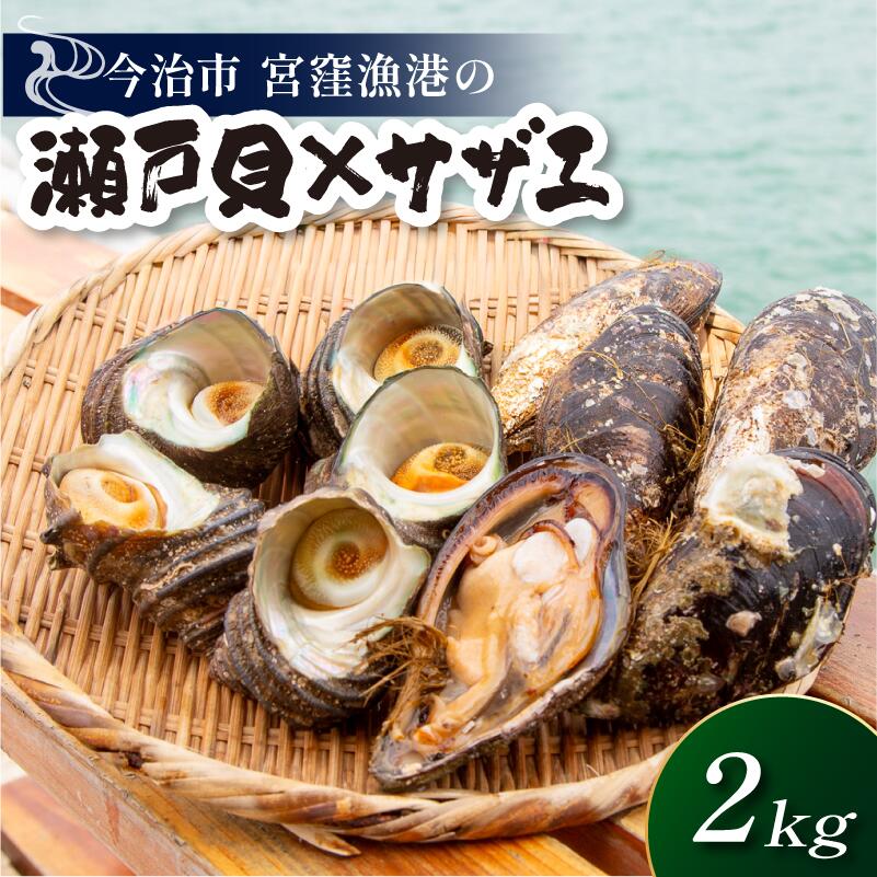 【ふるさと納税】（宮窪産）幻の貝「瀬戸貝」と高級サザエ【瀬戸貝10個（約1kg）・サザエ5個（約1kg）】【V002770】【配送不可地域：離島】宮窪瀬戸 瀬戸貝 瀬戸内海 サザエ 高級 冷凍 今治市 愛媛県 国産 海産物 海鮮 魚介類 新鮮 食品 ふるさと納税