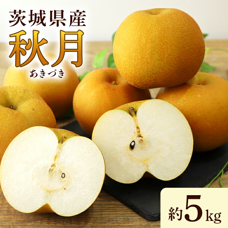 【ふるさと納税】数量限定 先行予約 2025年 梨（秋月） 約5kg ナシ なし あきづき 和梨 日本梨 秋月梨 17-X 【9月上旬〜中旬発送予定】