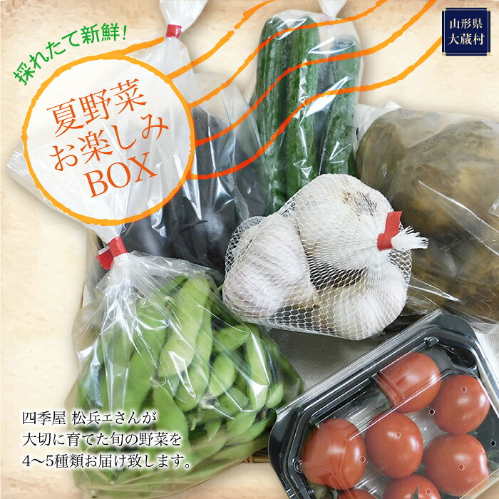 【ふるさと納税】採れたて新鮮！夏野菜お楽しみBOX