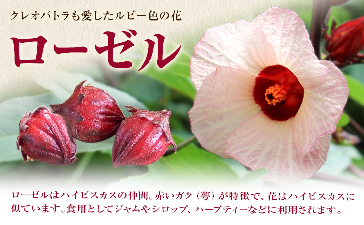 ローゼルジャムセット 40g×6個 もり農園《30日以内に出荷予定(土日祝除く)》熊本県 苓北町 ジャム ローゼル ハイビスカス セット---reihoku_mrn_2_6p---