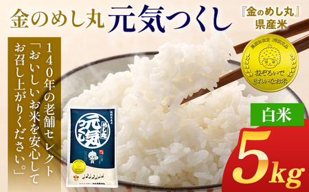 令和8年産 金のめし丸元気つくし精米５kg 元気つくし 福岡 お米 米 ごはん ご飯 お弁当 おにぎり 金のめし丸県産米 福岡ブランド米 めし丸 志免 志免町 福岡県