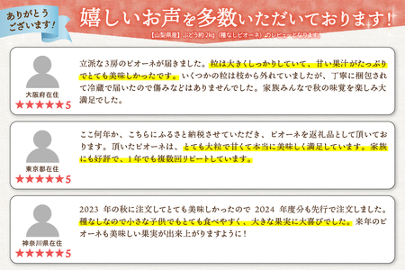 ＼2026年先行予約／ 【山梨県産】ぶどう約1kg（種なしピオーネ）葡萄 ぶどう フルーツ 果物 くだもの