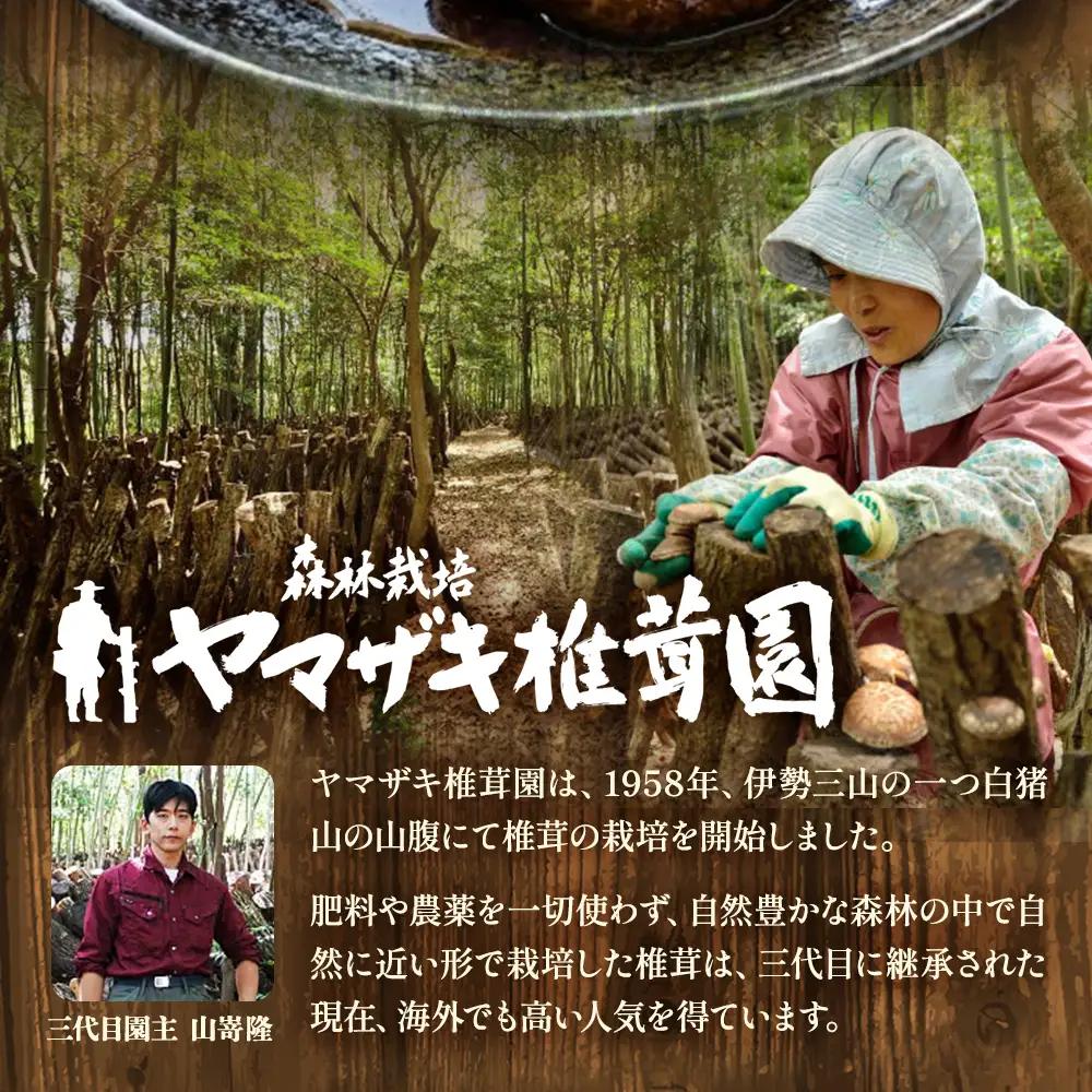 乾燥しいたけ 6種セット 椎茸 干ししいたけ 野菜