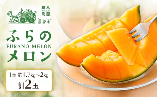 
            ふらのメロン 2玉(1玉約1.7kg～2kg)赤肉メロン農家直送フルーツ 北海道富良野産〈相馬農園〉【1503173】
          
