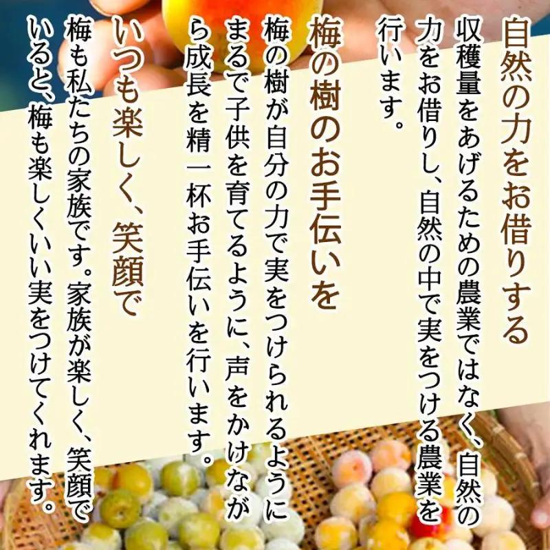 農薬を使用していない南高梅　trgk003B【trgk003B】